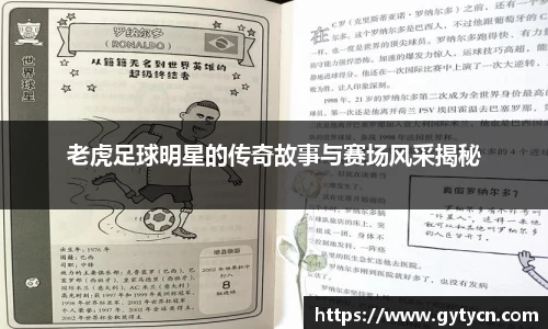 yy易游