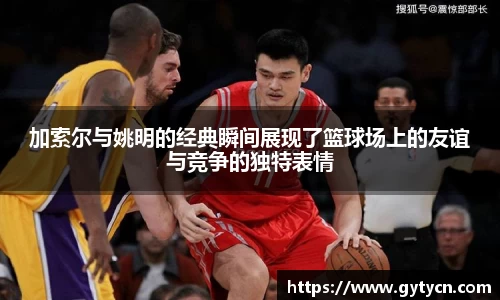 yy易游